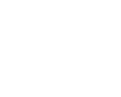 فروشگاه لاستیک و تایر الماس تایر 271 tire_logo1